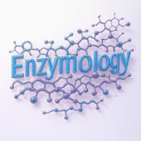 Enzymology Notes